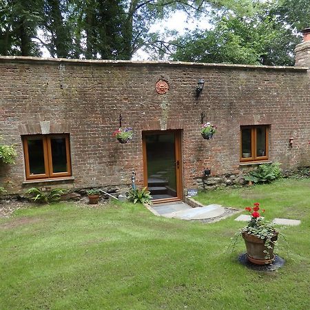 Apartament The Potting Shed Little Torrington Zewnętrze zdjęcie