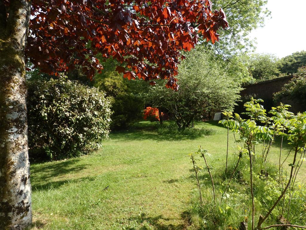 Apartament The Potting Shed Little Torrington Zewnętrze zdjęcie