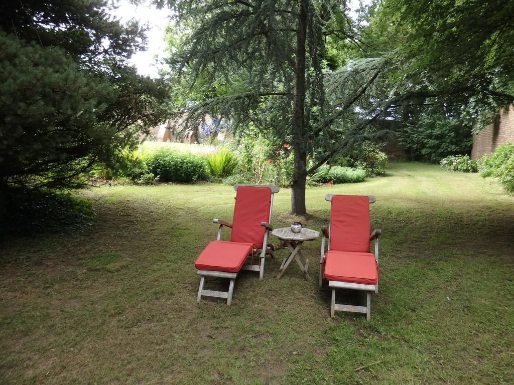 Apartament The Potting Shed Little Torrington Zewnętrze zdjęcie